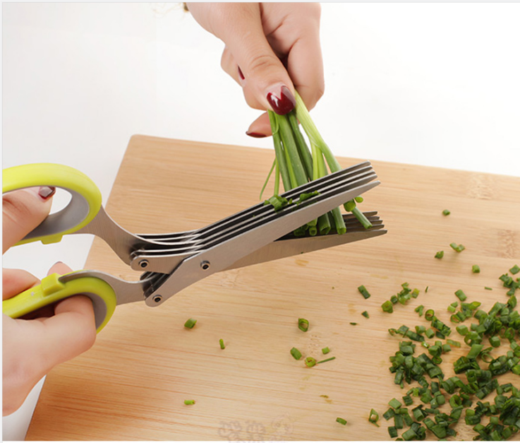 Stainless Steel Multi-Function Five-layer Chopped Scissors - Kitchen | GreenLifeHuman Emporium