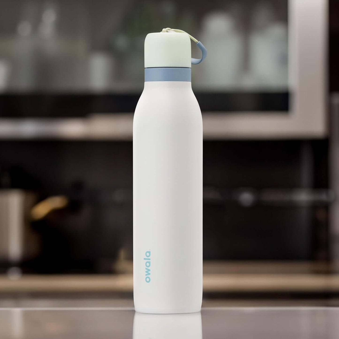 FreeSip Fresh: Owala 24oz Stainless Water Bottle with Straw