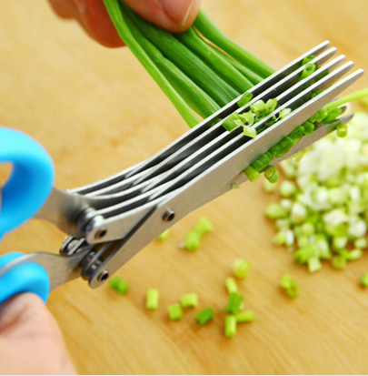 Stainless Steel Multi-Function Five-layer Chopped Scissors - Kitchen | GreenLifeHuman Emporium
