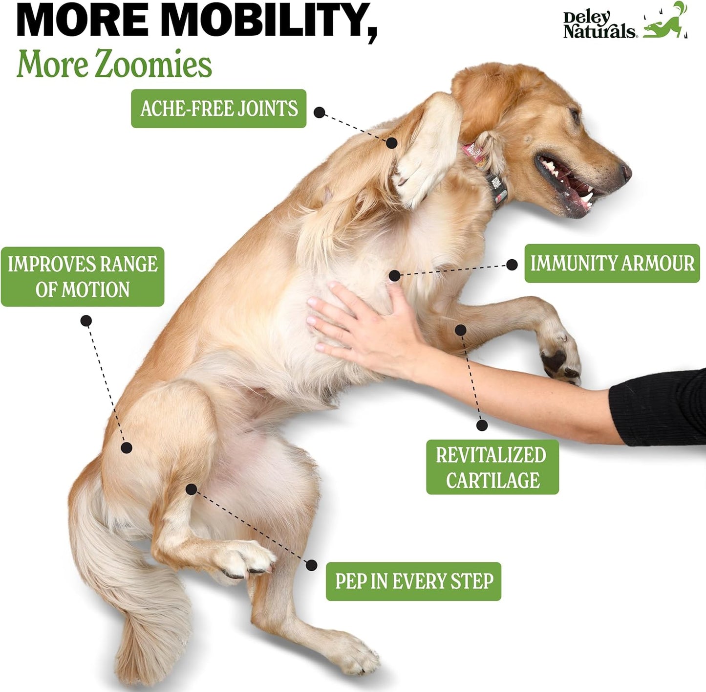 Natural Grain-Free Soft Chews Hip & Joint Supplement for Dogs - Advanced Arthritis Relief 480g