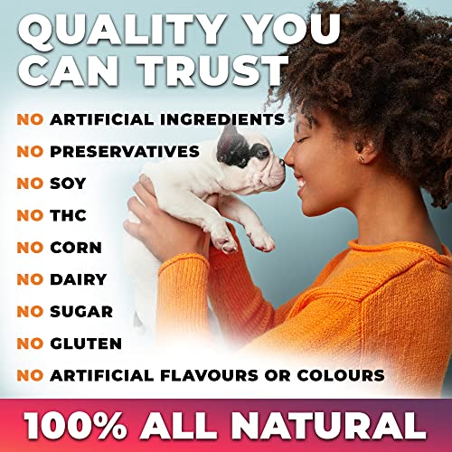 Organic CB2 Hemp Oil For Dogs - Supports Immune & Brain Function. 240ml/8oz | GreenLifeHuman Emporium