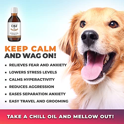 Organic CB2 Hemp Oil For Dogs - Supports Immune & Brain Function. 240ml/8oz | GreenLifeHuman Emporium
