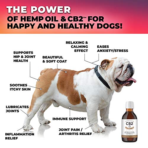 Organic CB2 Hemp Oil For Dogs - Supports Immune & Brain Function. 240ml/8oz | GreenLifeHuman Emporium