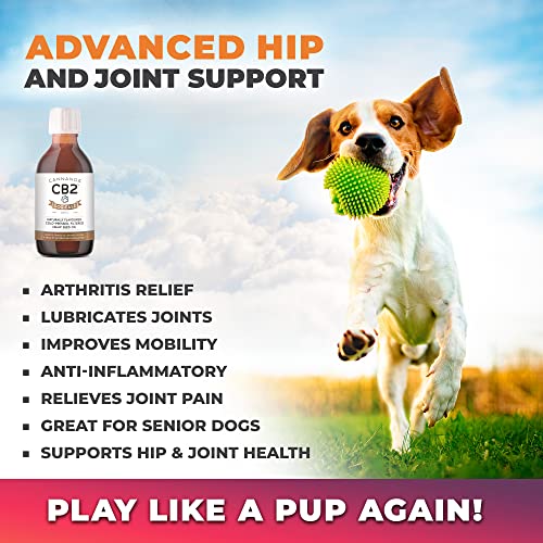 Organic CB2 Hemp Oil For Dogs - Supports Immune & Brain Function. 240ml/8oz | GreenLifeHuman Emporium