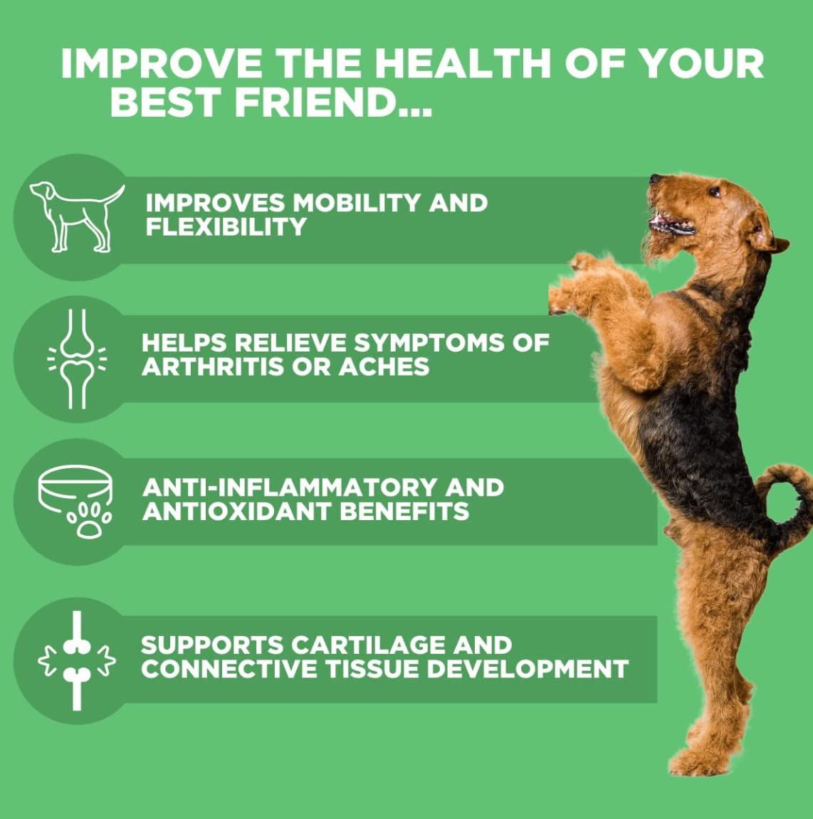 Grain Free Soft Chews Deley Naturals Hip & Joint Support Supplement for Dogs - Advanced Arthritis Pain Relief, 480g | GreenLifeHuman Emporium