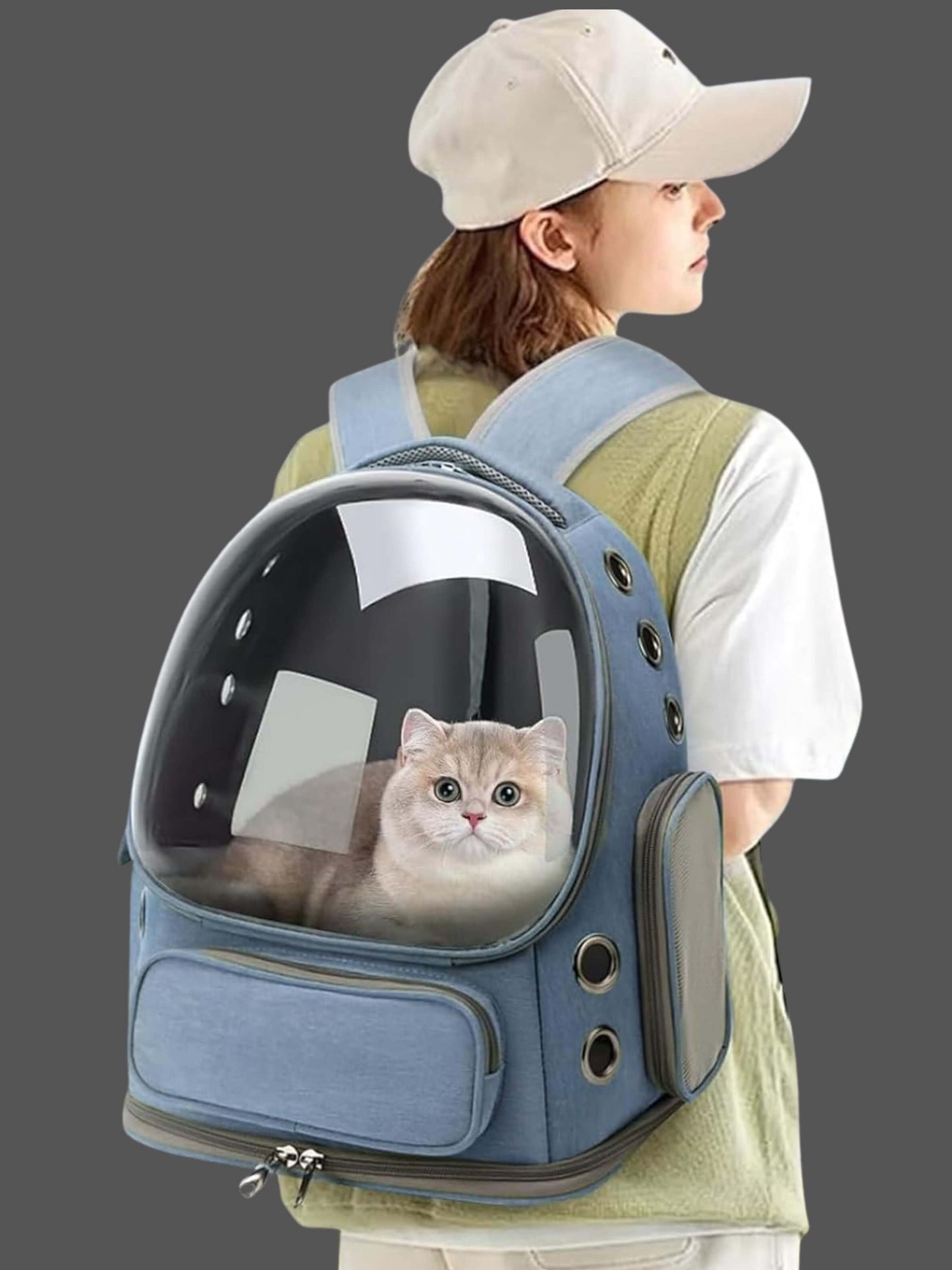 Breathable Cat & Small Dog Backpack Carrier Airline Approved