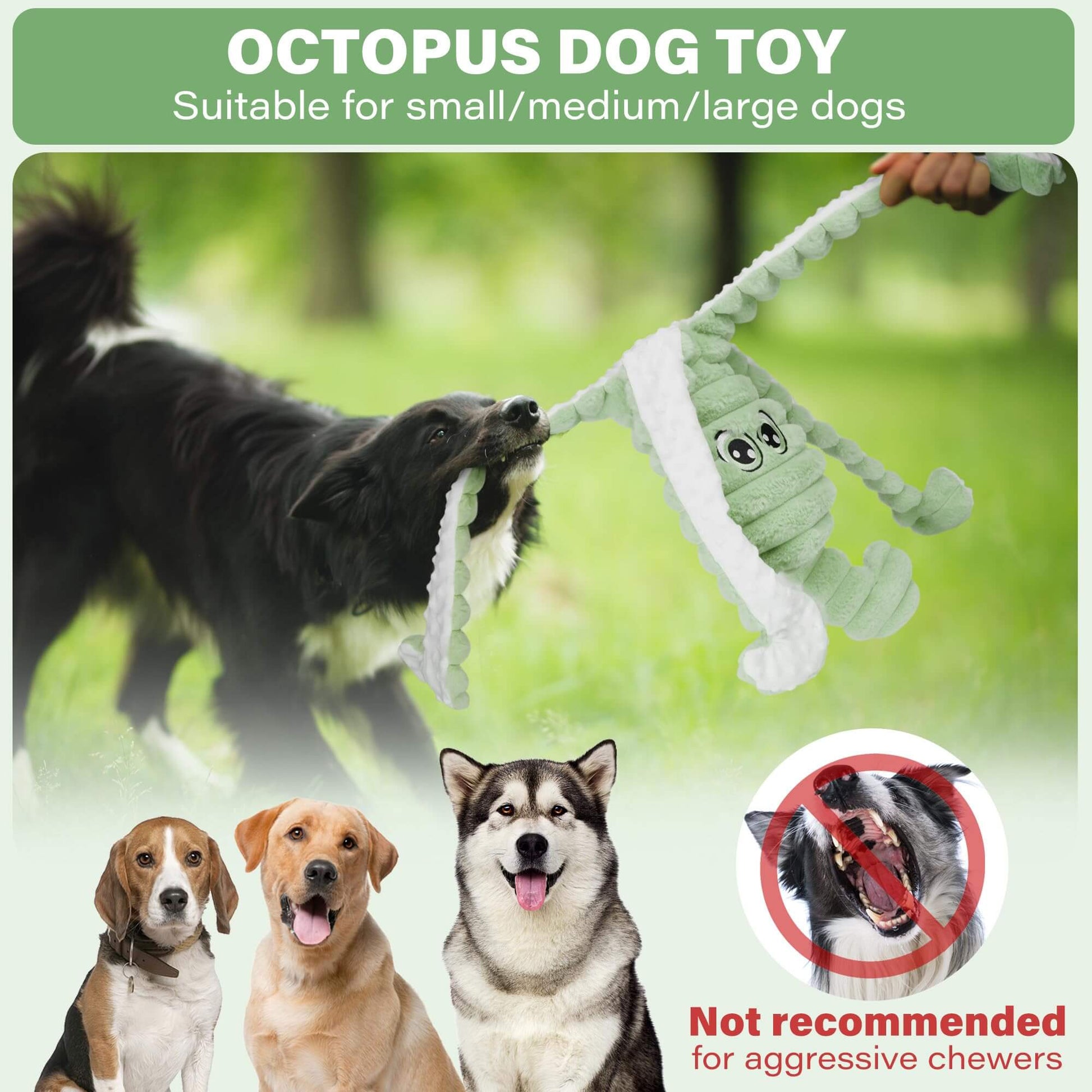 Chew & Cuddle Plush Octopus Toy for Dogs