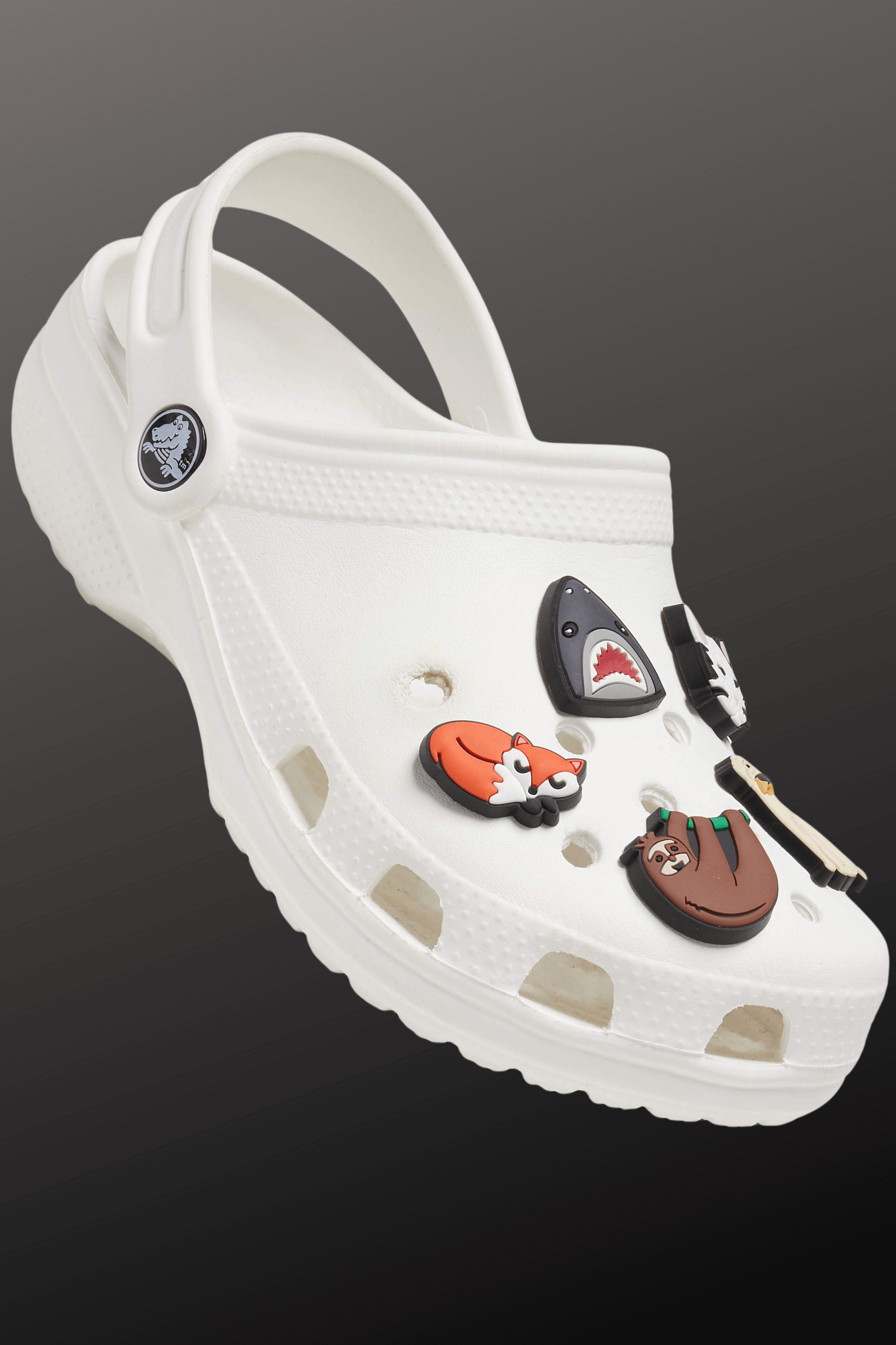 Cute Animal 5-Pack Shoe Charms for Crocs