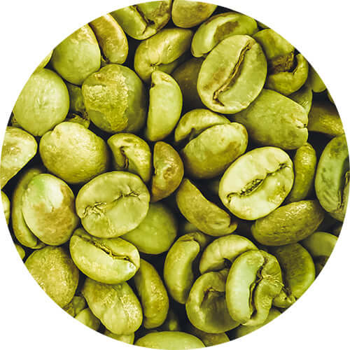 Geomar Mud Cream - Firming Care for Busy Lifestyles