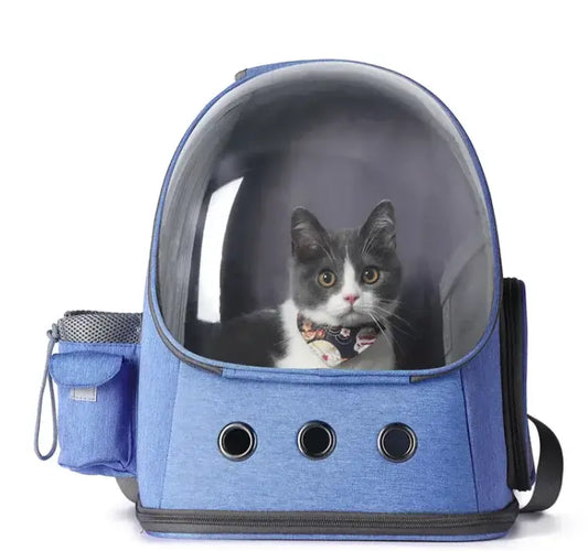 Paw Port Pet Carrier: Adventure Ready