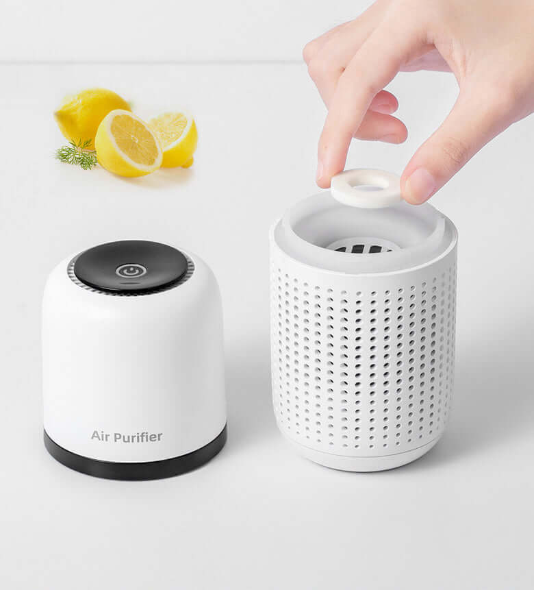 PO2 Mini Car Air Purifier - Formaldehyde & Odor Remover