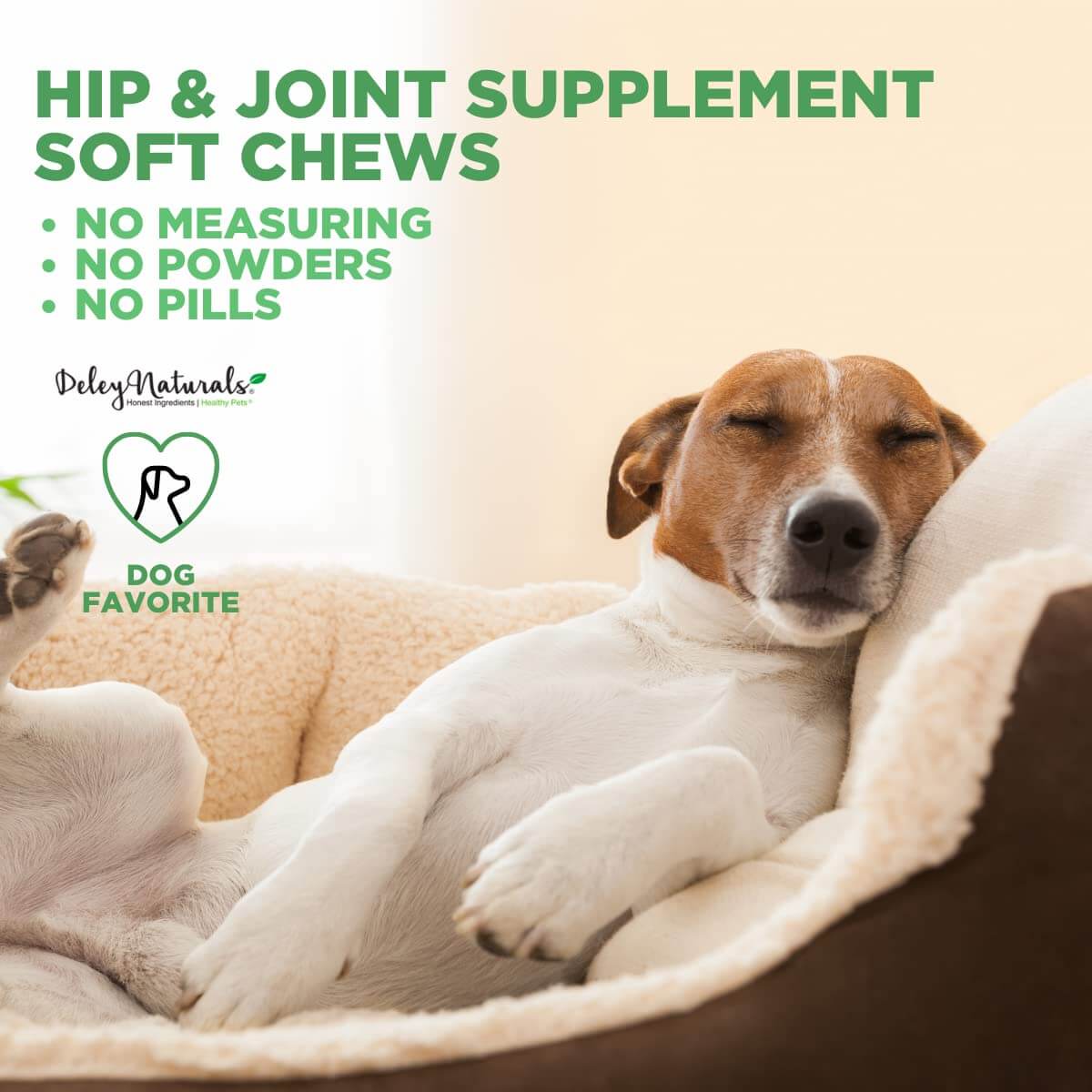 Grain-Free Hip & Joint Soft Chews for Dogs - 480g