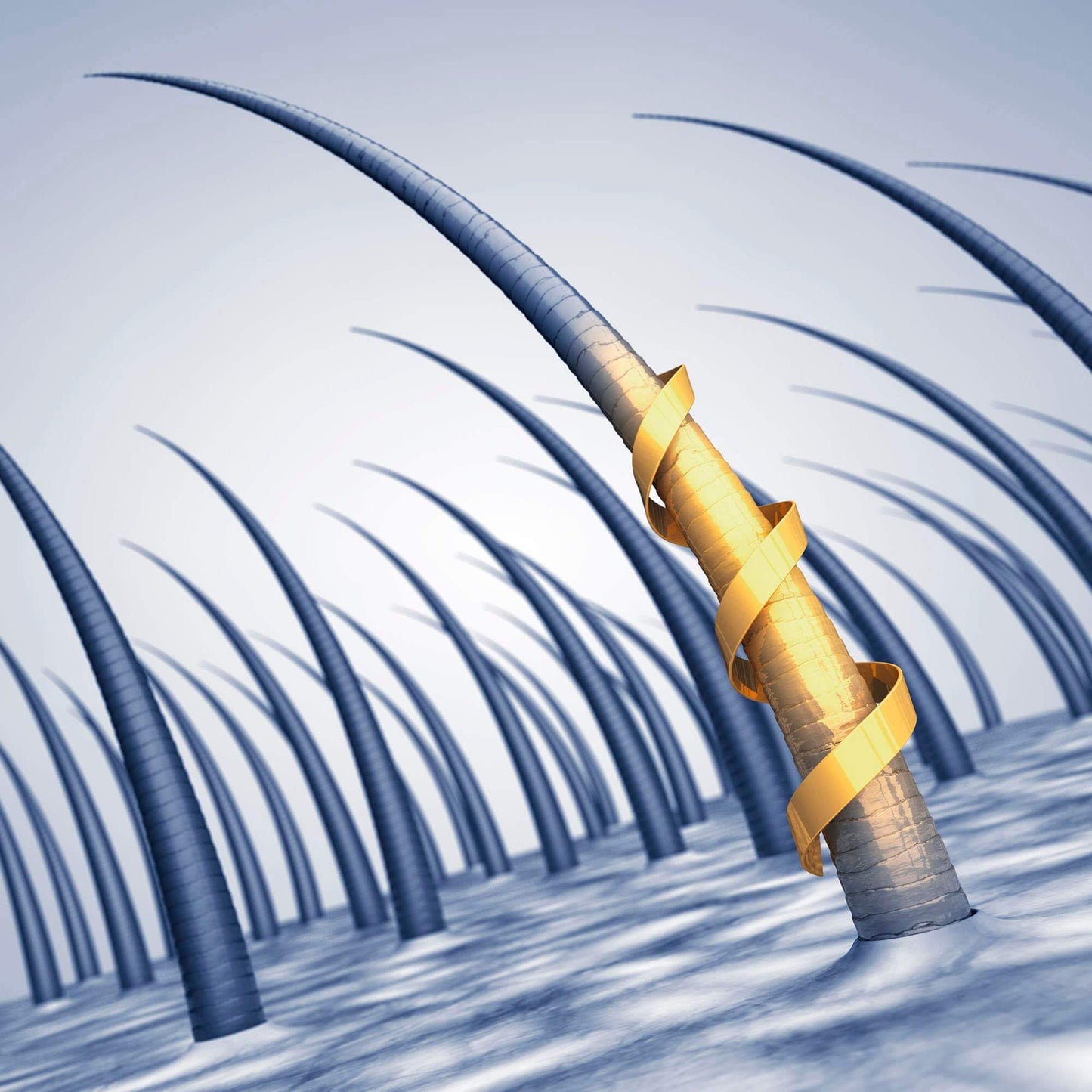 Hair Growth Boost Biotin & Castor Oil Serum 50ml