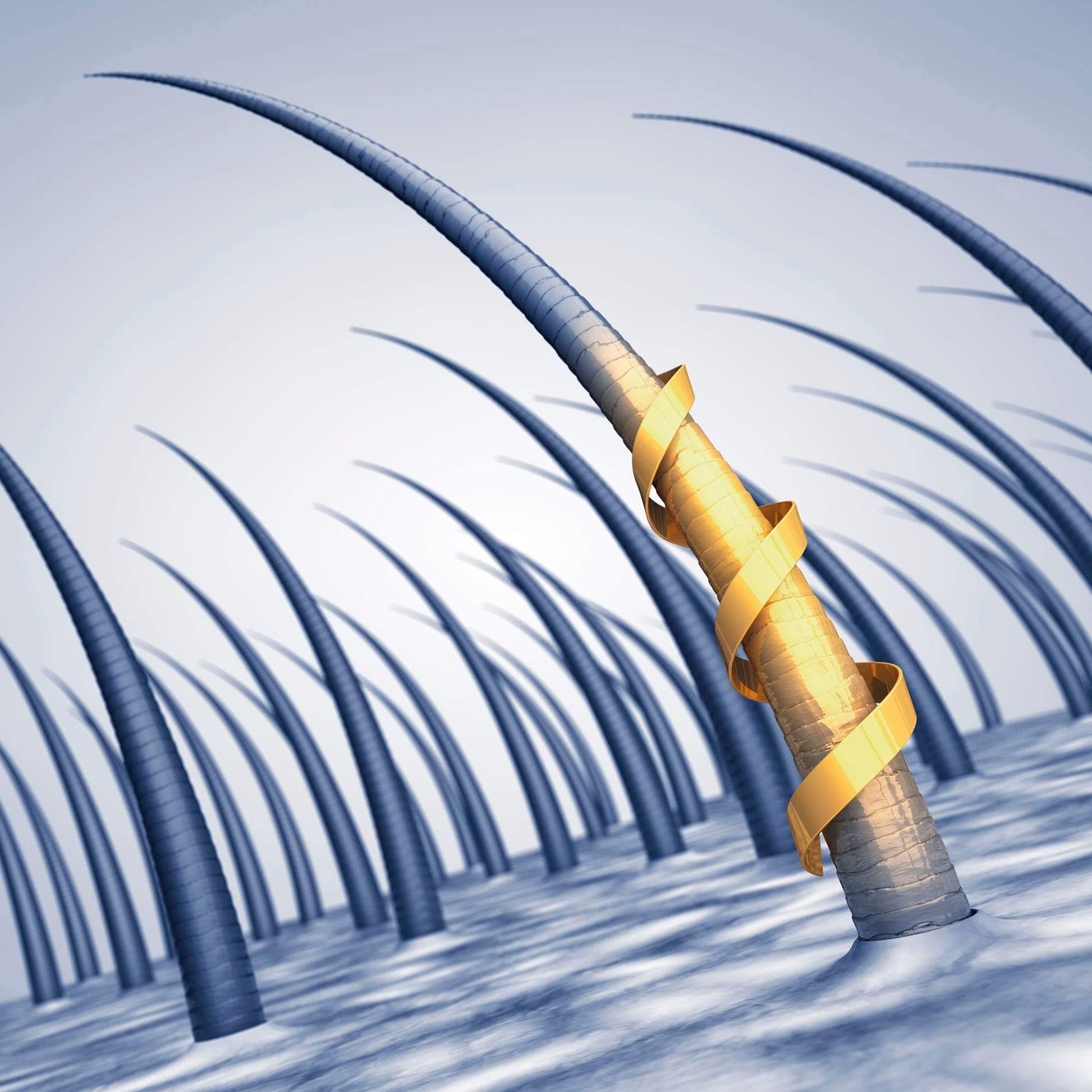 Hair Growth Boost Biotin & Castor Oil Serum 50ml