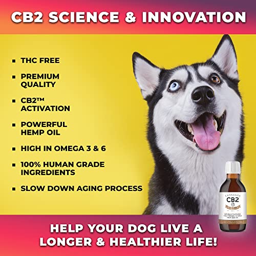 Organic CBC Hemp Oil for Dogs - Immune & Brain Support