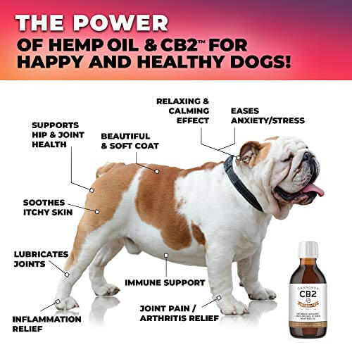 Organic CBC Hemp Oil for Dogs - Immune & Brain Support